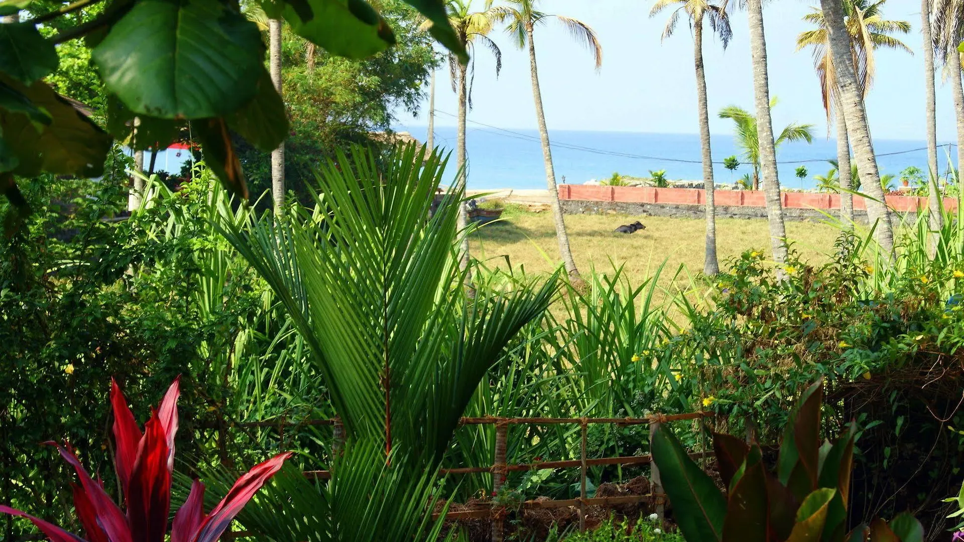 Satta Beach Residence Varkala Resort